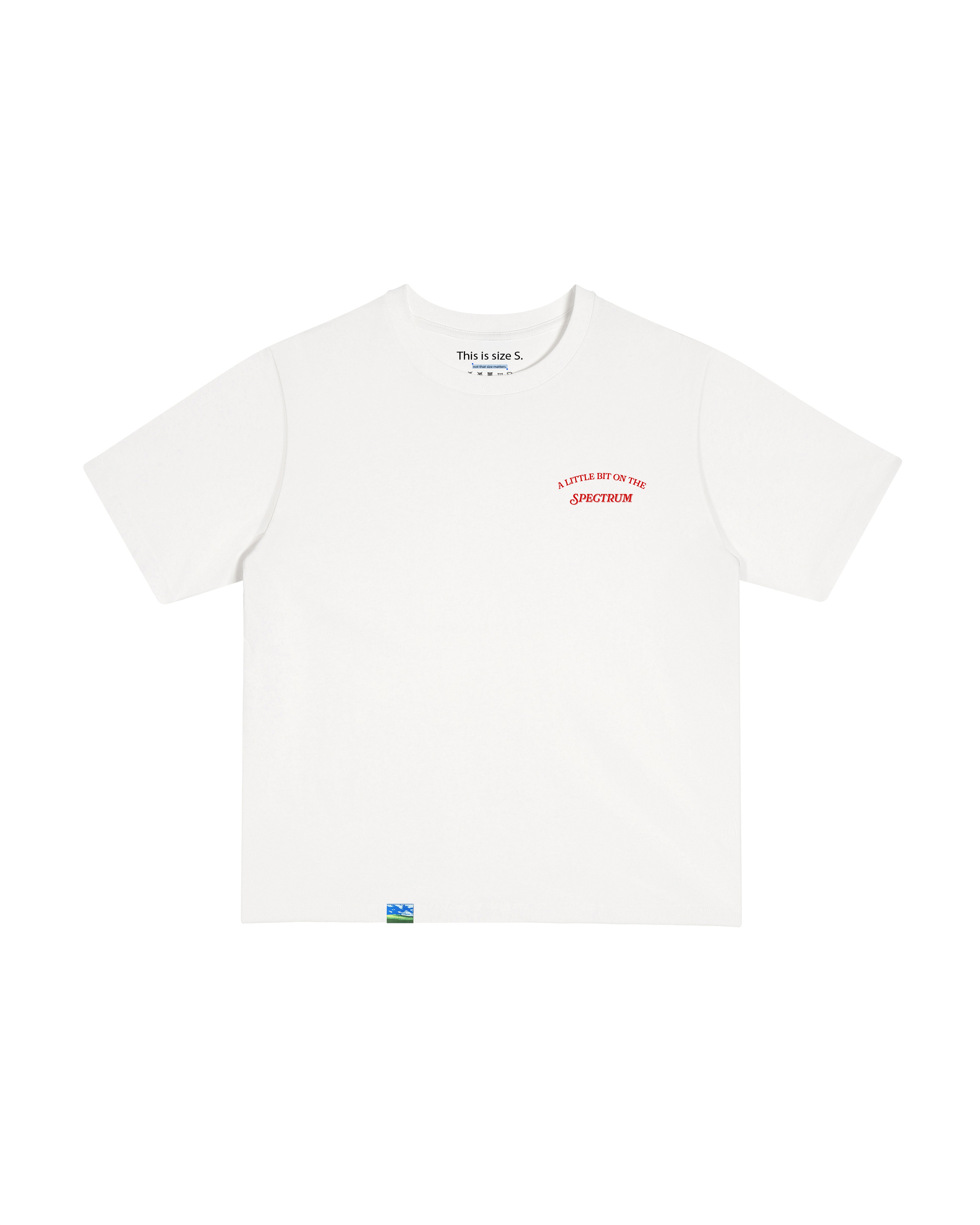 A Little Bit on the Spectrum T-Shirt