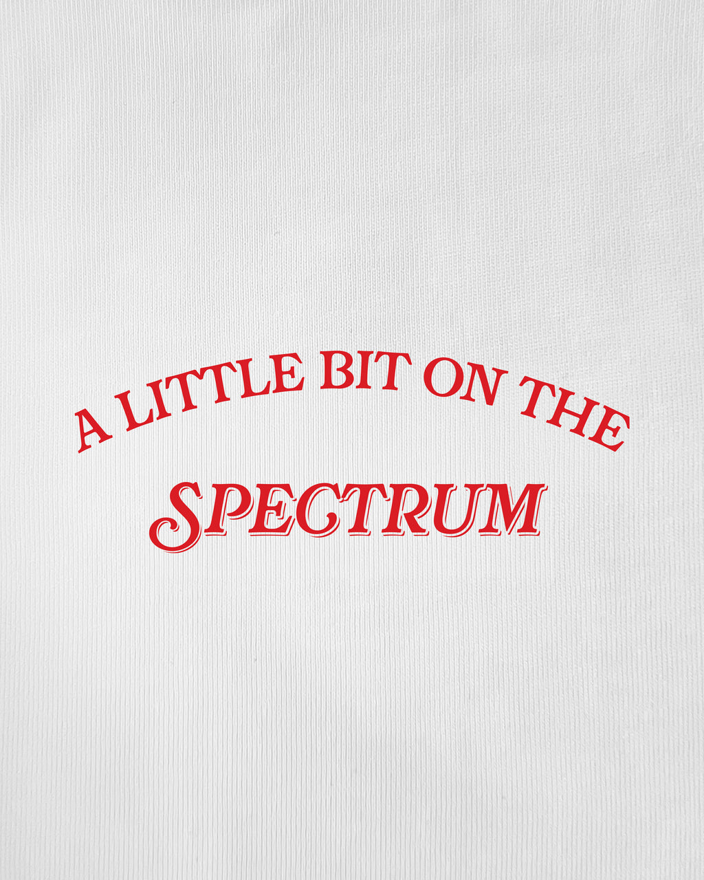 A Little Bit on the Spectrum T-Shirt