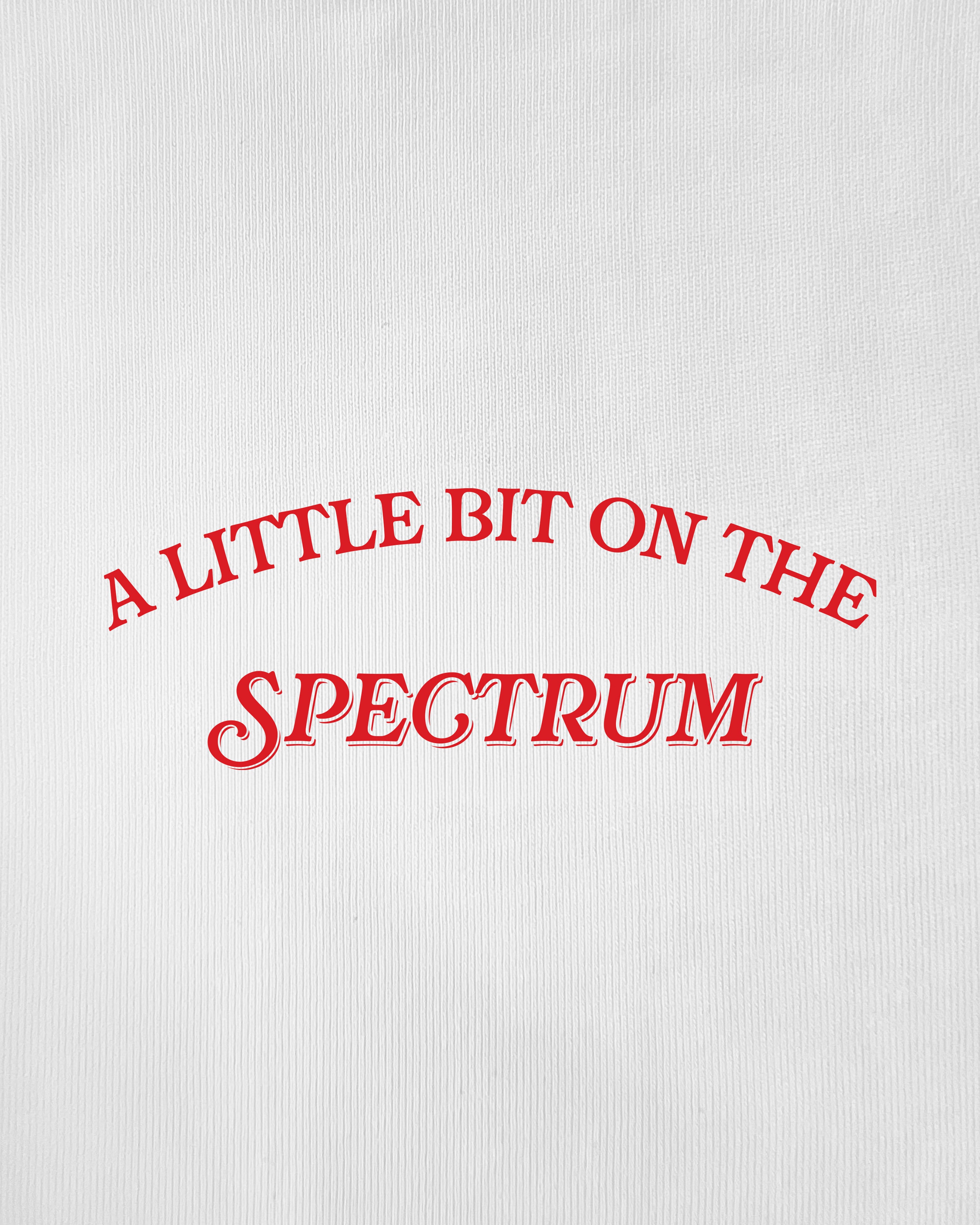 A Little Bit on the Spectrum T-Shirt