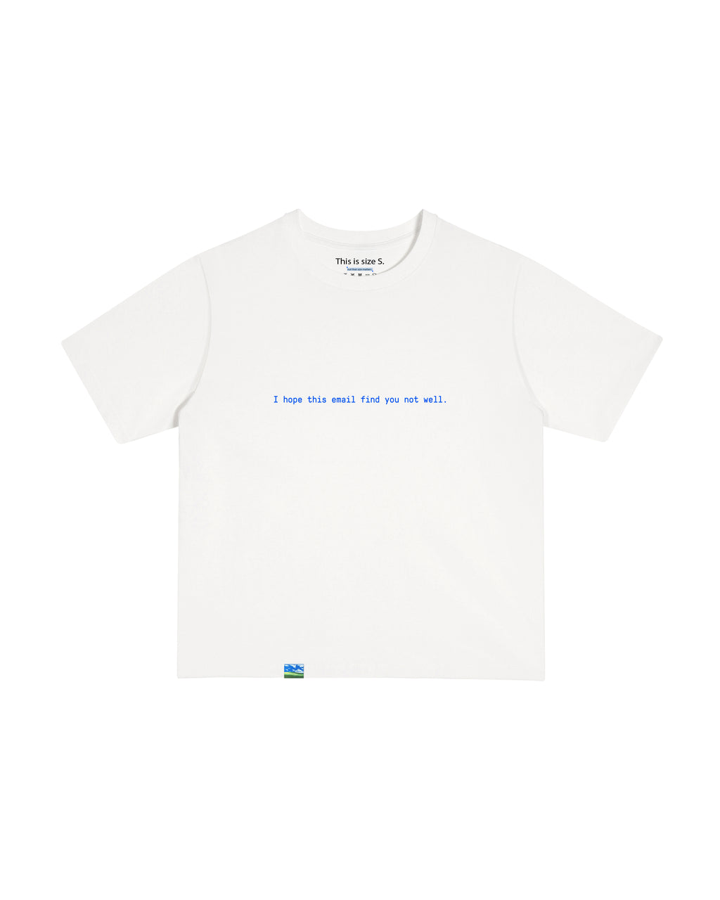 I hope this email find you not well T-shirt