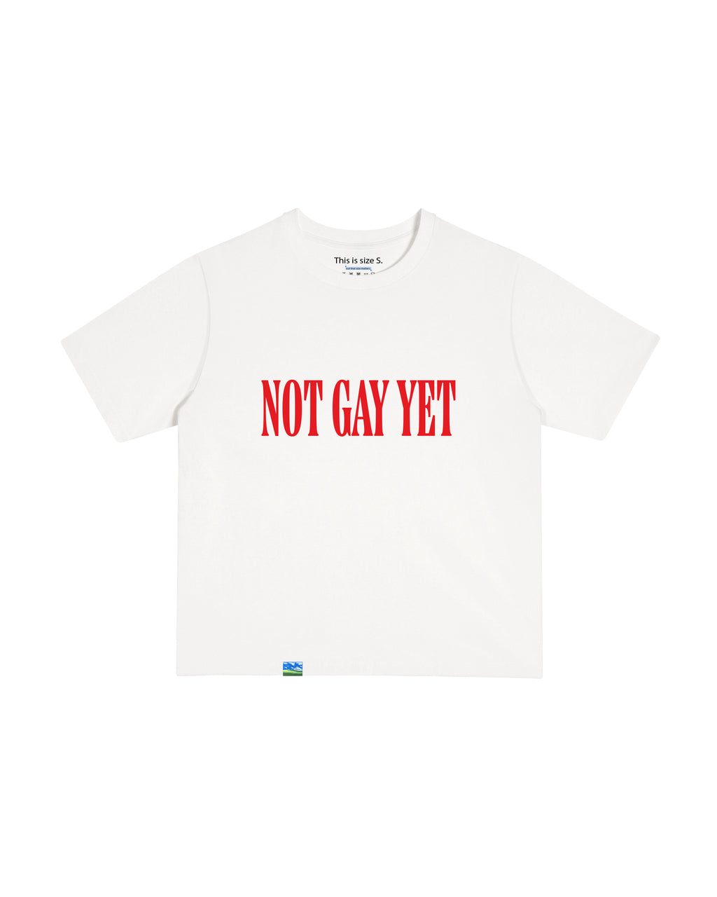 Not Gay Yet T-Shirt